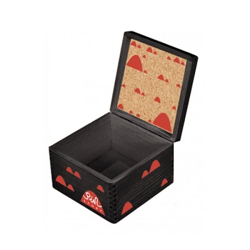 Pusty mały czarny box na piny