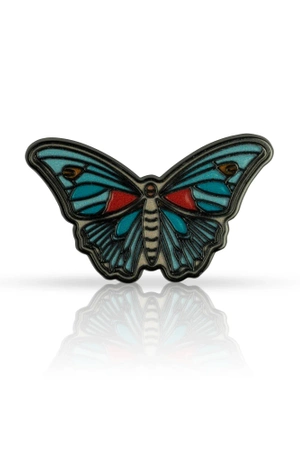 Pin motyl