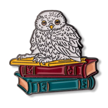 Pin sowa na książkach