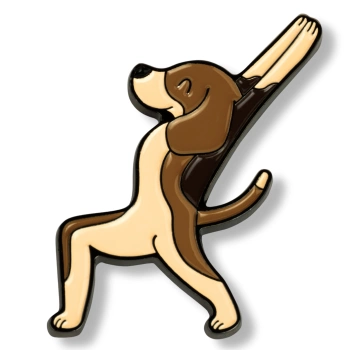 Pin pies yoga 5